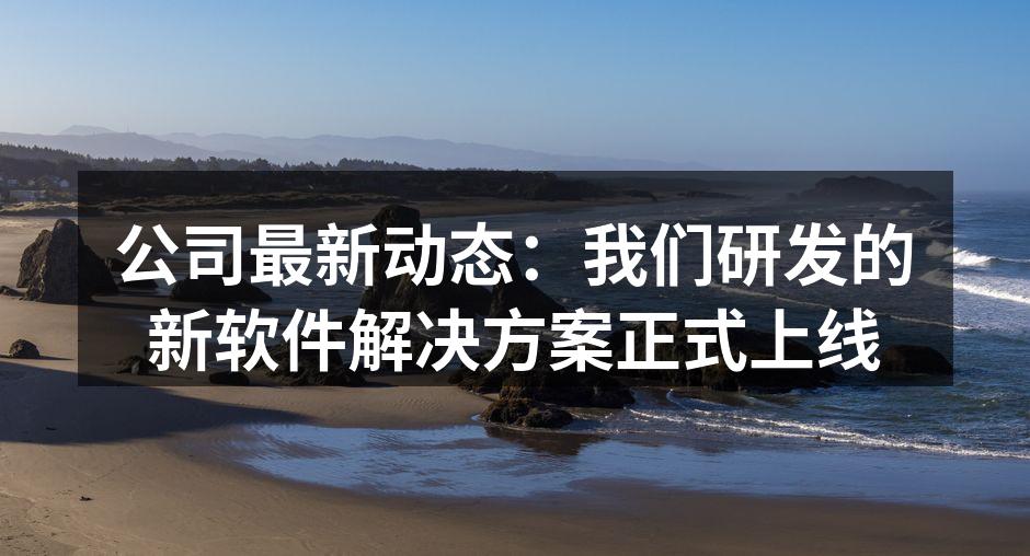 公司最新动态:我们研发的新软件解决方案正
