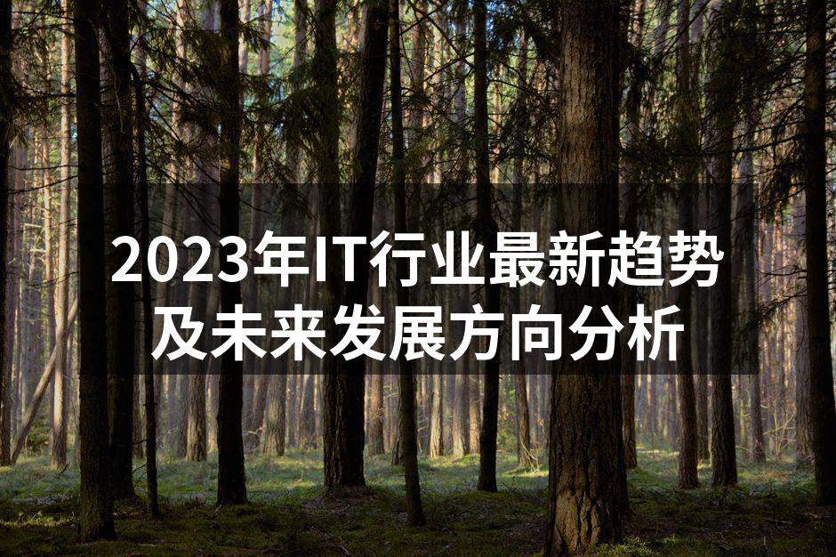 2023年IT行业最新趋势及未来发展方向